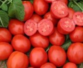 Processed Tomato